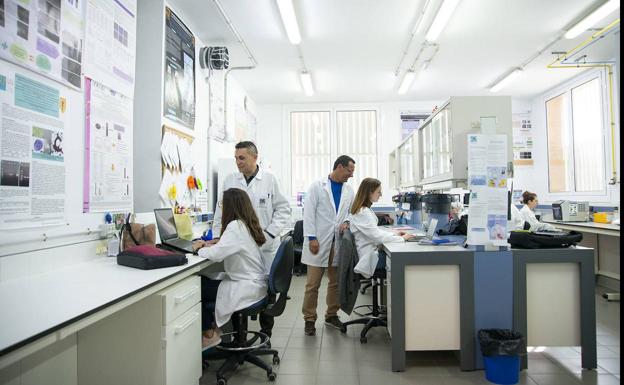 Canarias llega a los 90 casos de viruela del mono