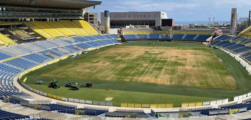 Shame: this is what the grass of Gran Canaria looks like less than a month before the start of the League