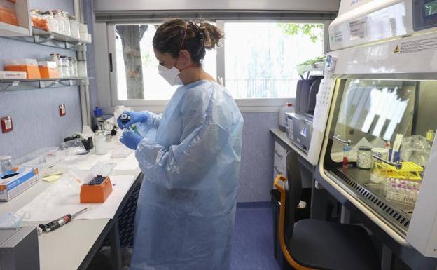 La OMS alerta: la viruela del mono no tardará en ser pandemia