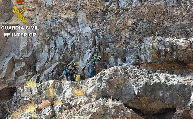 Rescatan a un podenco de un barranco «peligroso» en Adeje
