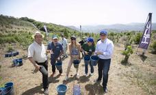 HPS y el Cabildo replantan 1.200 árboles con la campaña sanitaria «Cuidando tu piel»