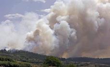 El Cabildo de Gran Canaria envía 22 efectivos al incendio de Los Realejos