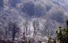 Gobierno eleva a 122.000 las hectáreas quemadas mientras siguen los incendios