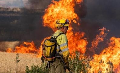 Castilla y León culpa al «ecologismo extremo» del abandono forestal en plena ola de incendios