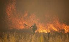 España sufre la mayor devastación por incendios forestales en lo que va de siglo