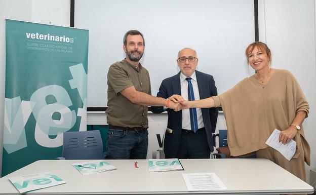 El control de las colonias de gatos urbanos se renueva en Gran Canaria