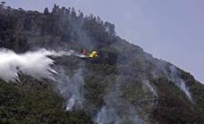 Evolución positiva del fuego en Tenerife, los trabajos se centran en la ladera de Tigaiga