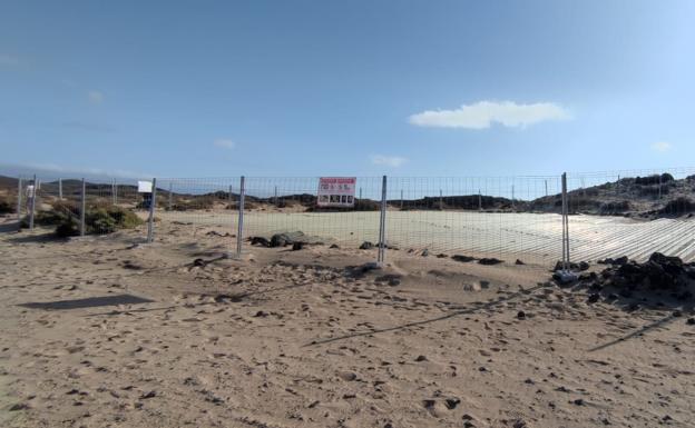 Una nueva valla protege la presencia de Roma en Lobos