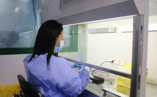 Canarias notifica tres positivos y nueve casos en estudio de viruela del mono