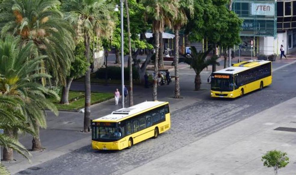 Encuesta: ¿Cree que los bonos de guaguas en Canarias deberían ser gratuitos?