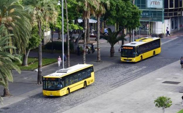 Encuesta: ¿Cree que los bonos de guaguas en Canarias deberían ser gratuitos?