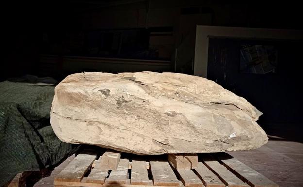 Encontrados los restos de un dinosaurio de hace 129 millones de años