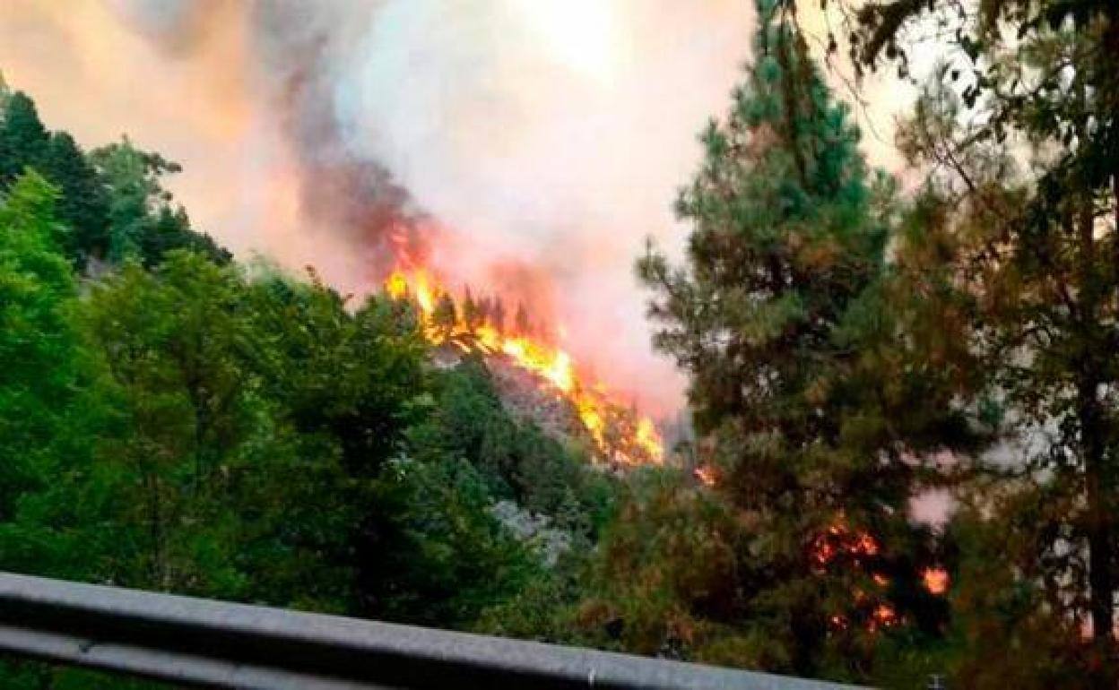 El Cabildo ayuda a prevenir los incendios a fincas privadas en zonas de alto riesgo