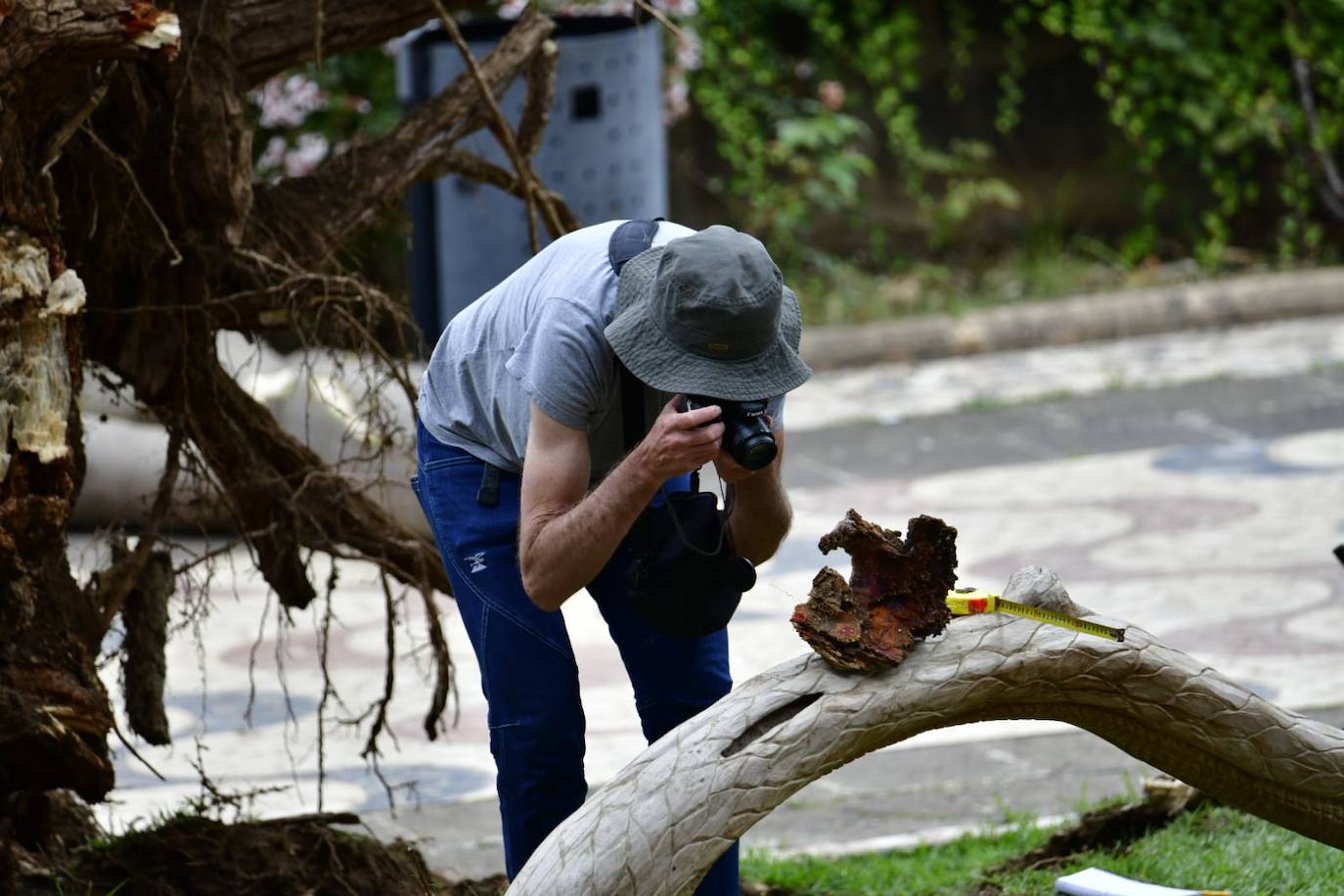 Los vecinos de Arucas ayudaron a socorrer al hombre hasta la llegada de los bomberos