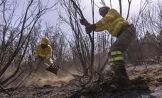 El incendio forestal de Tenerife afectó a unas 40 hectáreas agrícolas