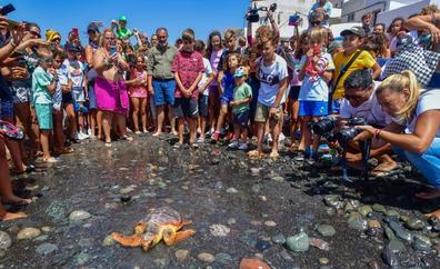 Gran emoción en Pozo Izquierdo tras soltar una tortuga al mar