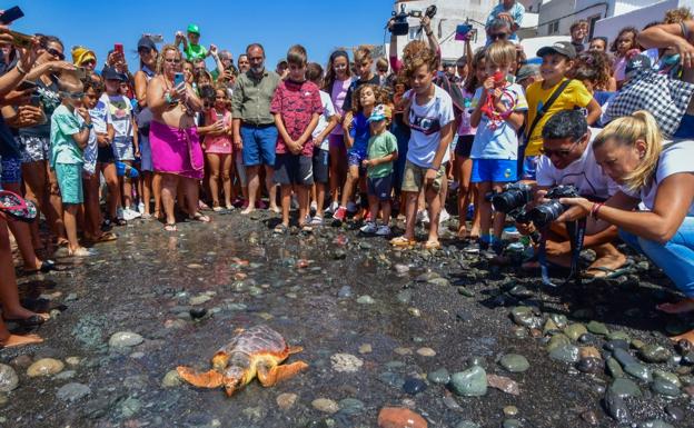 Gran emoción en Pozo Izquierdo tras soltar una tortuga al mar