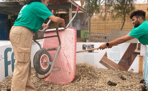 Algas como compost para la agricultura y la jardinería