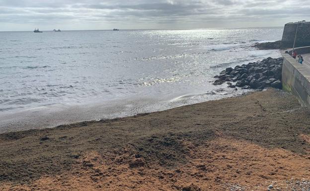 Una marea de sebas invade de nuevo San Cristóbal