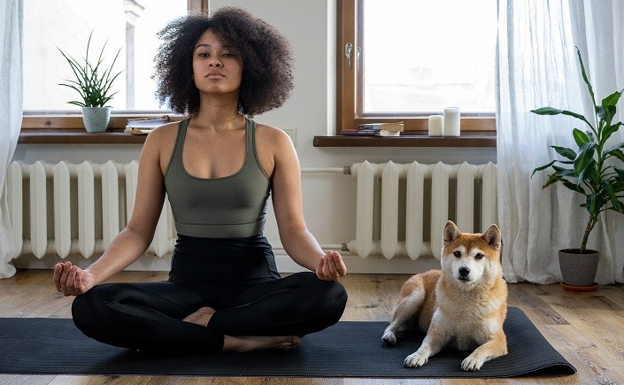 Deportes que puedes practicar junto a tu perro en verano