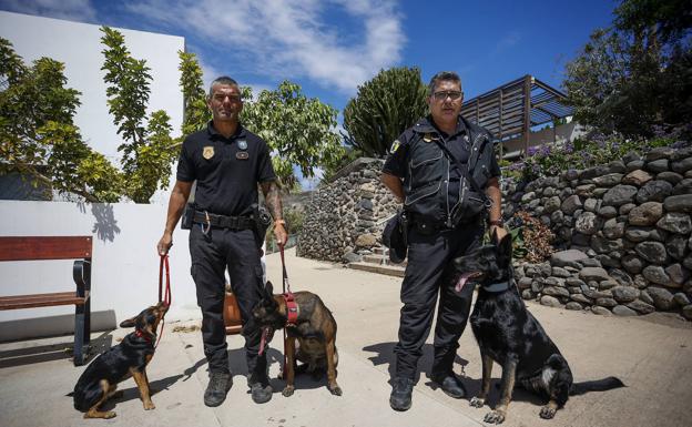 El arma secreta de un olfato privilegiado