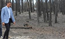 El Consejo de Ministros declarará zona catastrófica los territorios afectados por grandes incendios