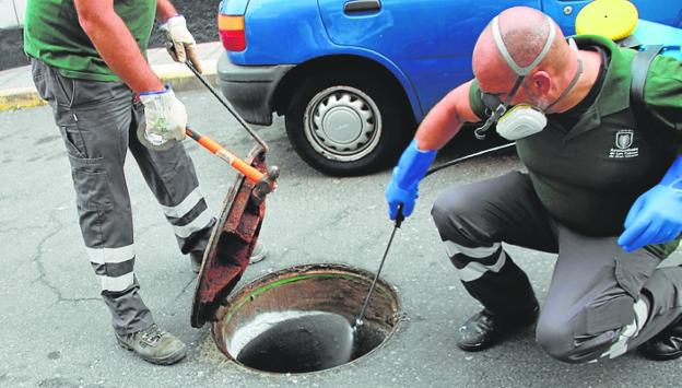 Salud Pública acondiciona Vegueta con un tratamiento especial antiplaga
