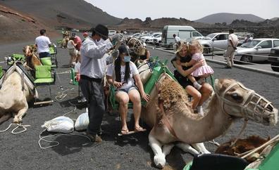 Entran en vigor las nuevas tarifas de los paseos en camello en Timanfaya