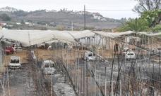 Así quedó el invernadero que se calcinó en Los Picachos en Arucas