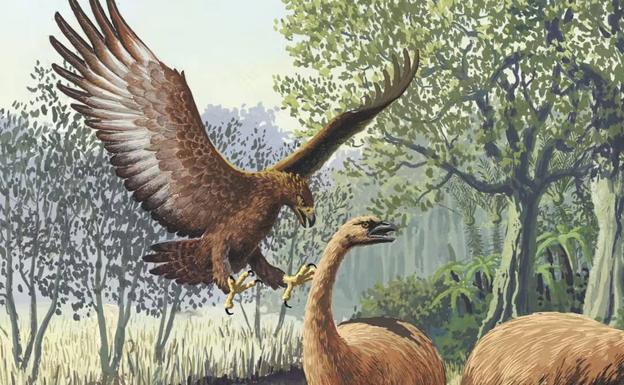 Ilustración de un águila de Haast atacando a un moa gigante de la isla Sur, en Nueva Zelanda. 