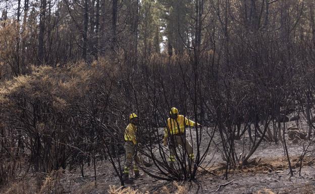 Desactivan la emergencia por el incendio en el noroeste de Tenerife