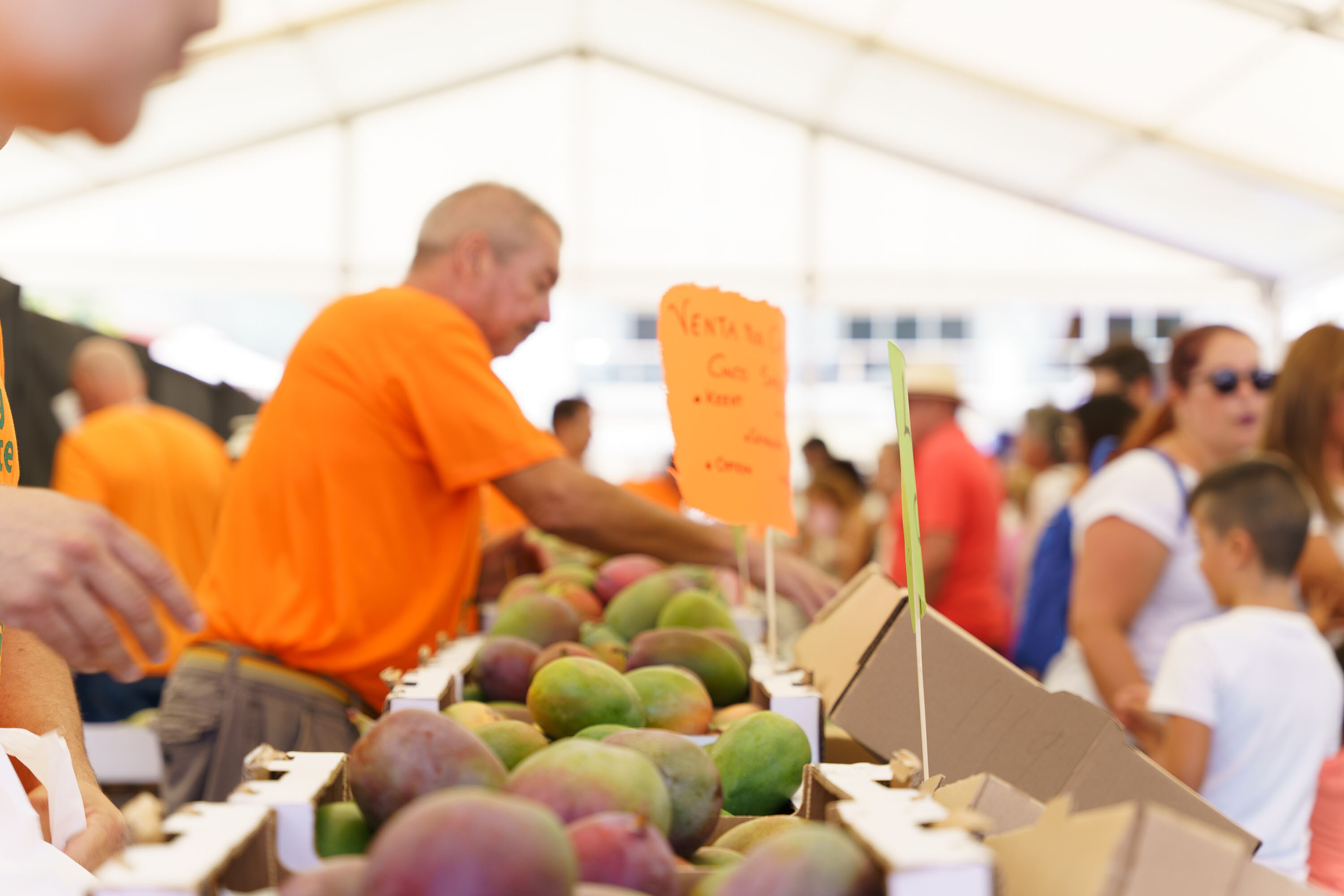 Mogán celebra la V edición Feria del Mango y Aguacate de Verano