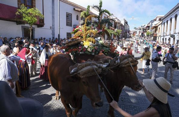 22 carretas y una ofrenda