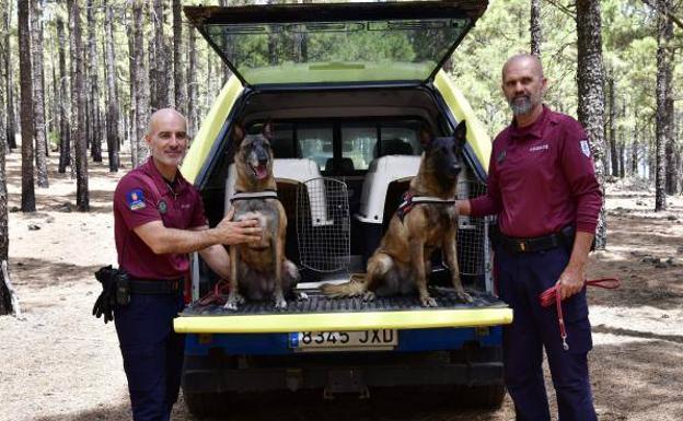 El olfato de las perras Tufia y Tirma desenvenena Gran Canaria