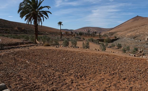 El PSOE propone la creación del banco de tierras para suelos en desuso