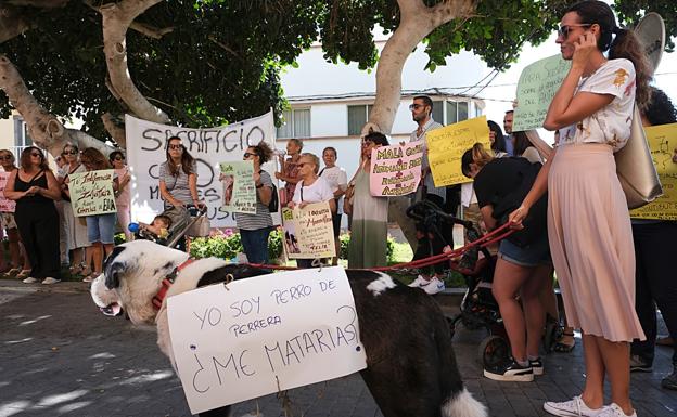 Por Duque, por Thea, por Peluche «que le encantaba que le tiraran una pelota»
