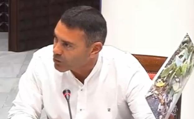 Betancort pide eliminar la cochinilla mexicana