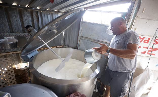 Los ganaderos advierten de un invierno «sin alfalfa»