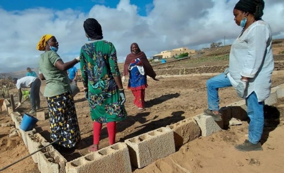 Mujeres mauritanas aprenden en Fuerteventura a sacarle partido a un huerto