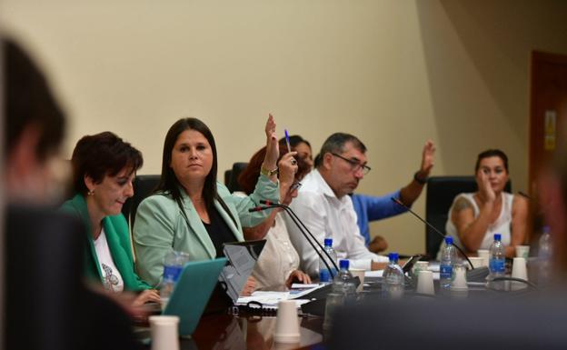 Tuineje aprueba el mayor paquete de ayudas públicas de su historia