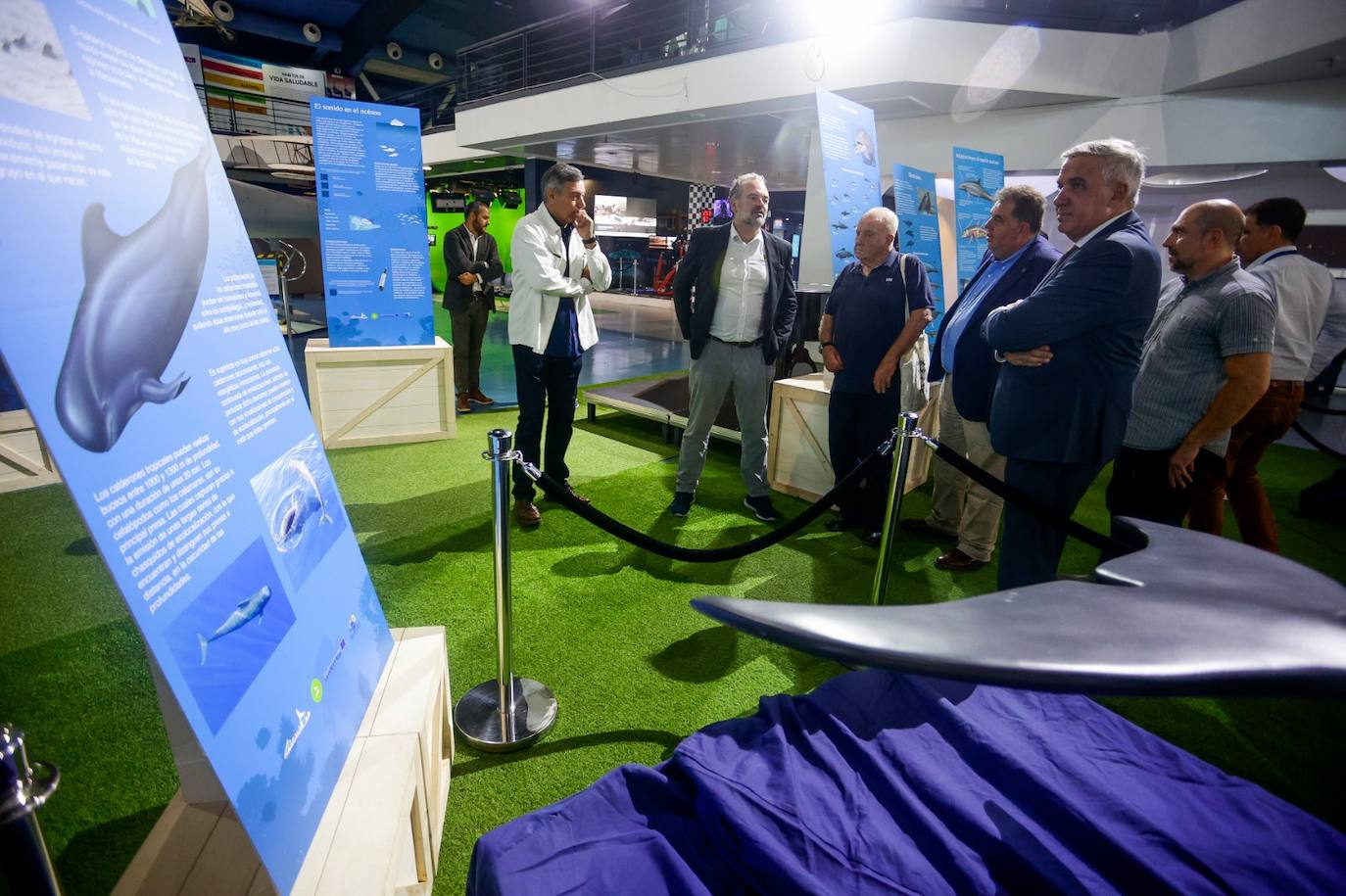 Réplicas de un delfín mular y de un calderón tropical en el Elder