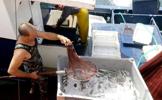 El Gobierno canario concede 242.791 euros a las cofradías de pescadores