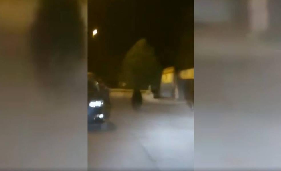 Un oso se pasea por las calles de Ponferrada