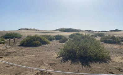 El Cabildo trabaja con Costas para vallar el acceso a las dunas por el mirador de Riu