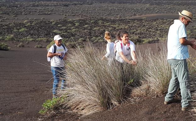 A Lanzarote a buscar juncos