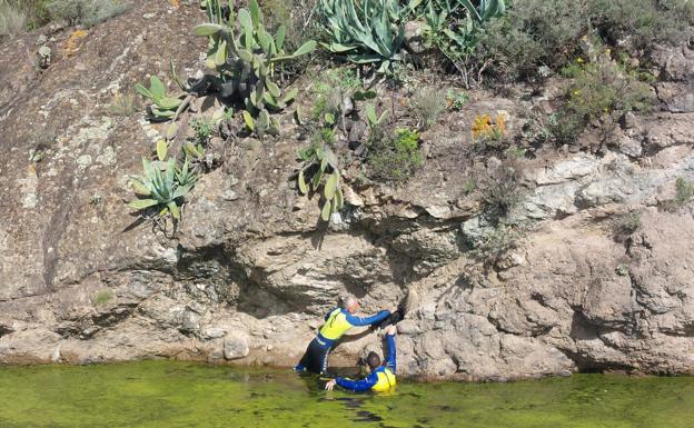 Rescatan con un buggie a un perro que quedó atrapado en un estanque de Santa Brígida