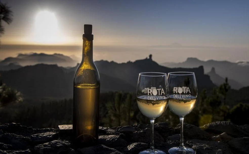 Ruta de bodegas: 6 vinos de Gran Canaria que no deberías perderte