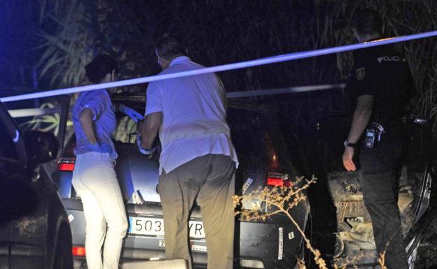 El horario de verano permanente provoca menos accidentes de tráfico con animales