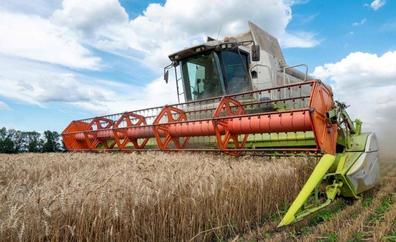 Rusia vuelve al acuerdo para exportar cereales ucranianos