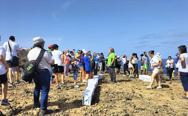 Multitudinaria suelta de pardelas en la costa aruquense